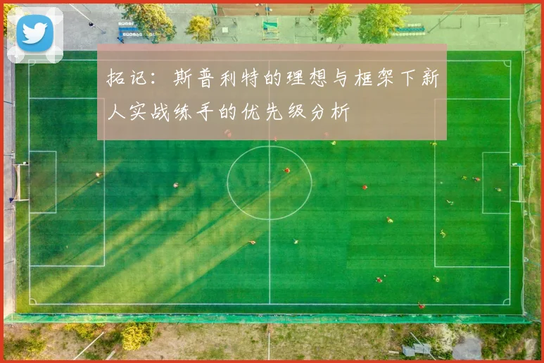 拓记：斯普利特的理想与框架下新人实战练手的优先级分析