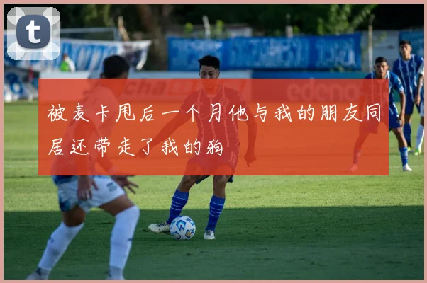 被麦卡甩后一个月他与我的朋友同居还带走了我的狗