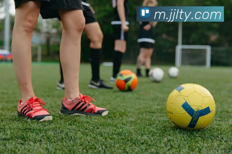 华体买球平台生态图